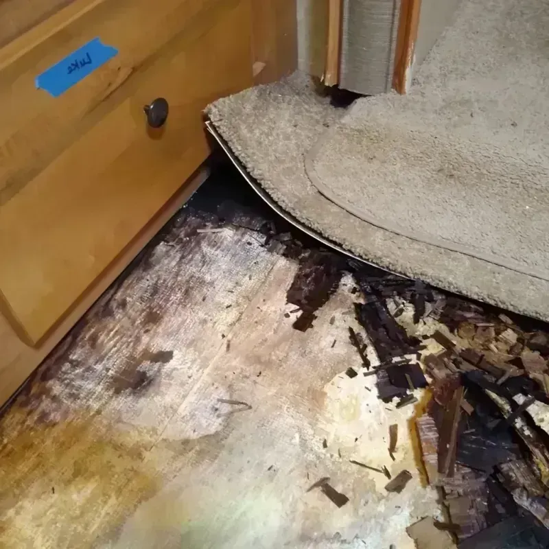 Best Wood Floor Water Damage Service in Point Pleasant Beach, NJ